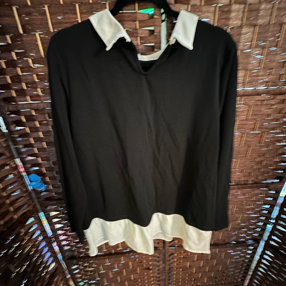 Adrianna Papell Dress Blouse with White collar and trim - Picture 6 of 6
